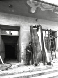 Zbýšovská zkamenělina